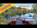 Русская рыбалка 4 - озеро Комариное - Окунь между коряг