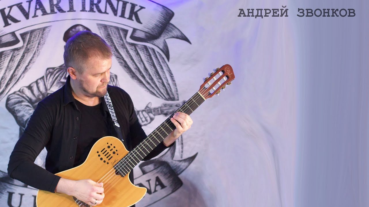 АНДРЕЙ ЗВОНКОВ (Би-2) - квартирник у Ильи Ваткина