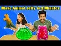 Pari Making Animal Jelly | Very Easy Jelly Making Recipe