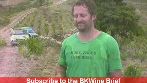 [E] Domaine Matassa, interview with Tom Lubbe, Roussillon