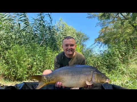 Отличный отдых на водоёме золотой берег.