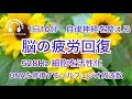 【528Hz・脳疲労回復】DNAを修復するソルフェジオ周波数と自律神経を整える。睡眠導入、ストレス緩和、疲労回復　＃脳の疲れを取る音楽＃自律神経を調整する音楽　＃ソルフェジオ周波数