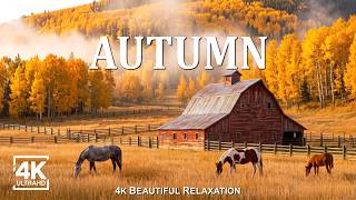 Autumn Forest Escape 4K 🍂 Relaxing Nature Sounds, Gentle Piano Music & Peaceful Sleep