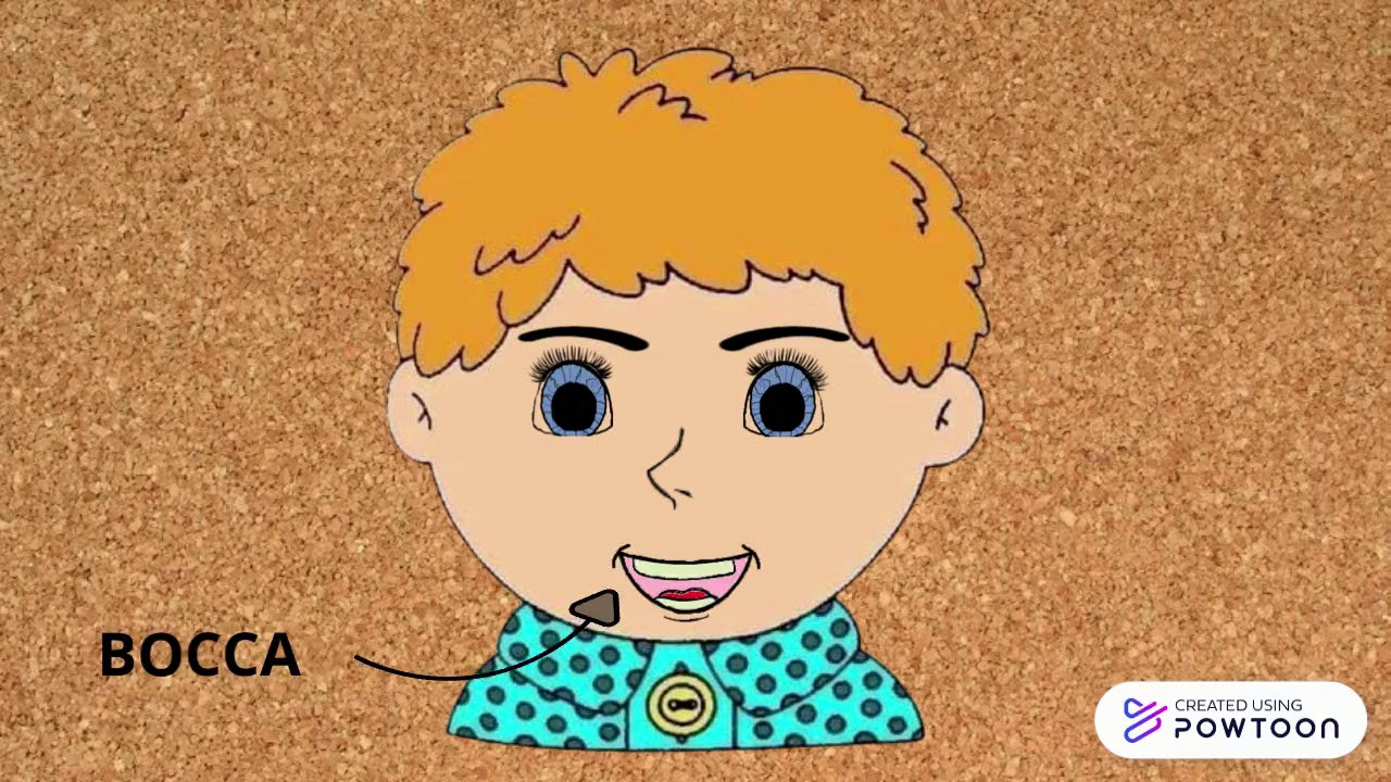 Le parti del viso YouTube