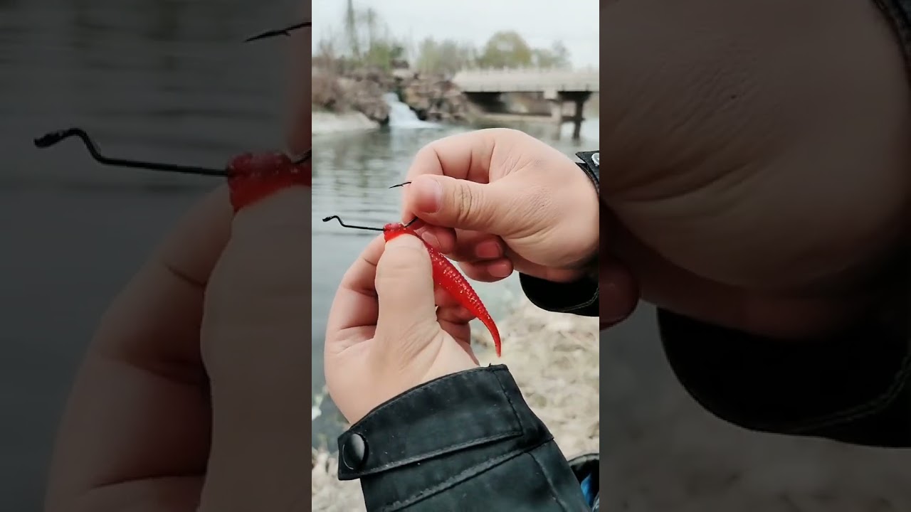 5 Mẹo Câu Lure Cá Rô, Cá Chẽm Siêu Nhạy! 