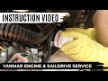 YANMAR Engine & Saildrive 50/250h SERVICE | Ep. 50