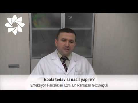 Video: Veteriner Tıbbı Ebola Için Bir Tedavi Bulmaya Yardımcı Olabilir Mi?