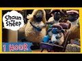 1 Hour Compilation Episodes 11 20 Shaun The Sheep S5 