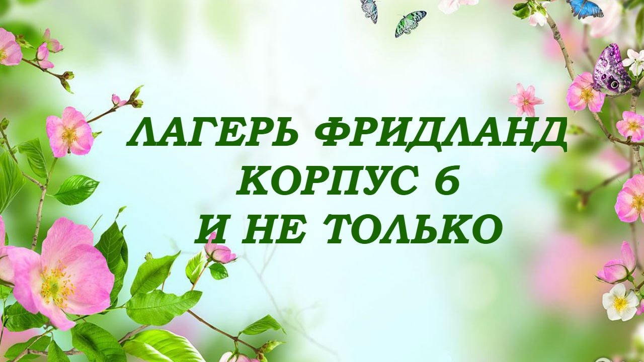 Лагерь Фридланд корпус 6 и не только - YouTube
