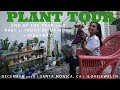 Plant tour santa monica collection part 1  dec 2018  ilovejewelyn