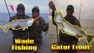 Wade Fishing Corpus Christi, TX | GATOR Speckled Trout!
