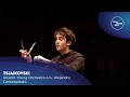 Tsjaikovski  utrecht young orchestra  tivolivredenburg 2023