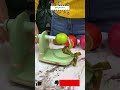 "This Fruit Peeling Machine Is So Satisfying to Watch! 🍎🌀" #automobile #tools4life #diy