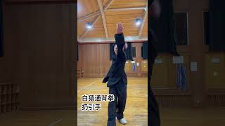 白猿通背拳 扔引手 #通背拳 #基本功 #武術 #中国武術 - YouTube
