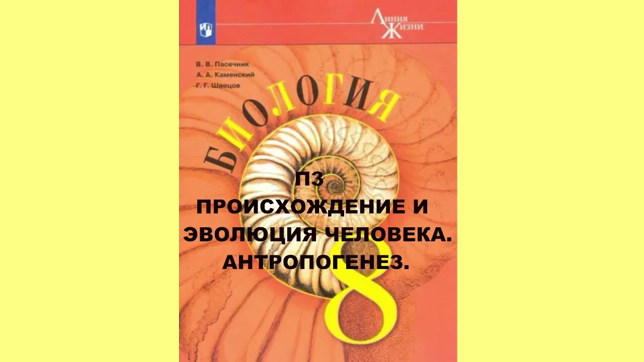 П3 ПРОИСХОЖДЕНИЕ И ЭВОЛЮЦИЯ ЧЕЛОВЕКА. АНТРОПОГЕНЕЗ. БИОЛОГИЯ 8 КЛАСС ...