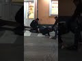Brutalno pretukli mladiće prerušene u policajce, prolaznici snimili okršaj