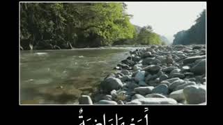 القارئ منصور السالمي( وجوه يومئذ ناعمة)