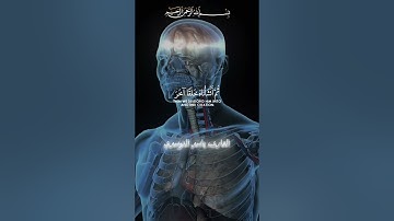 ﴿وَلَقَد خَلَقنَا الإِنسانَ مِن سُلالَةٍ مِن طينٍ﴾ سورة المؤمنون #ياسر_الدوسري تلاوه جميله