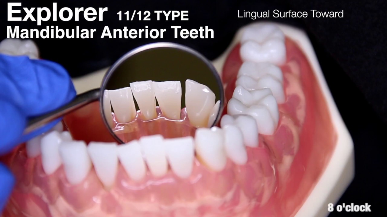 Dental Hygiene Education 11 12 Explorer Instrumentation Guide Youtube