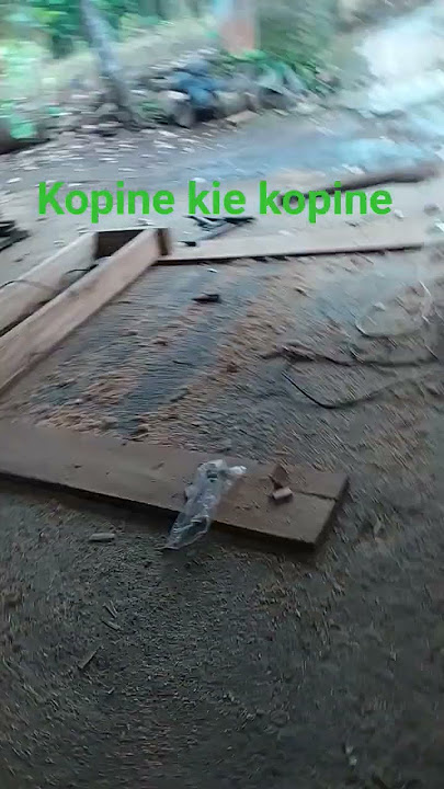 ketemu merah jambu sama kopi wayae wayae