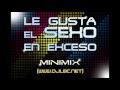 Minimix - Le Gusta El Sexo En Exceso (www.djlbc.net)
