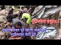 Natural fishing in nepal_#hewa river full रमाईलो खोलामा ।