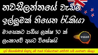 නවසීලන්තයේ වැඩිම ඉල්ලුමක් තියෙන රැකියා 2023 | Most In-Demand Jobs in New Zealand 2023 | Highest Pay screenshot 3