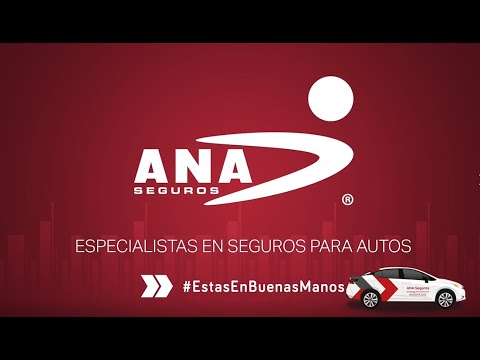 ¡Pagar tu seguro de auto a MSI es muy sencillo!