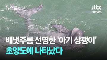 배냇주름 선명한 