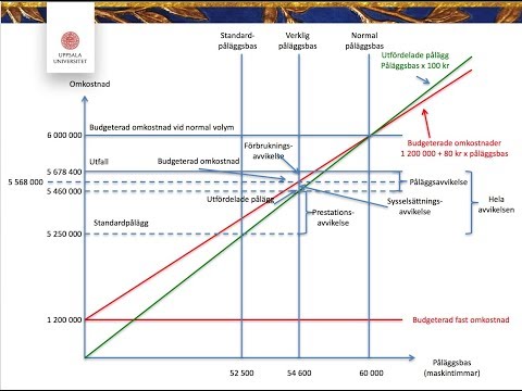 Video: Skillnaden Mellan Tomgångskostnad Och Standardkostnad