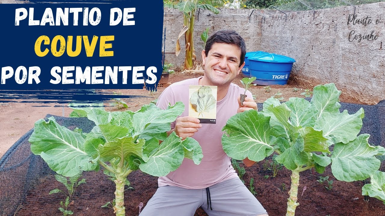 COMO PLANTAR COUVE POR SEMENTE. SUPER DICAS DA GERMINAÇÃO AO PLANTIO DA COUVE MANTEIGA (Ep110)