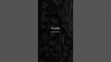 وَنُرِيدُ أَن نَّمُنَّ عَلَى الَّذِينَ اسْتُضْعِفُوا ¦ محمد صديق المنشاوي ¦ سورة القصص