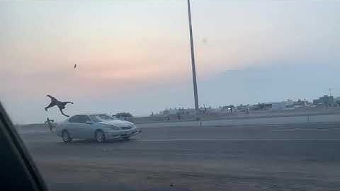 مضاربة حبوش طريق عسفان