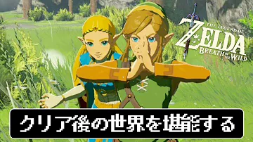 ゼルダの伝説ブレスオブザワールドガノン討伐 ゼルダの伝説ブレスオブザワールドガノン討伐