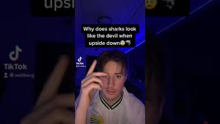 bottom of shark devil｜TikTok Search