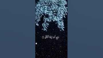 #القارئ عبدالرحمن مسعد #سورة الأعلى