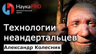 Технологии и бытовая культура неандертальцев – Александр Колесник | Лекции по археологии | Научпоп