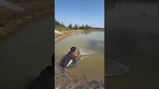 Mysterious Black Bubbles in the Pond… What Came Out Shocked Everyone! 😱🎣#fact#shorts