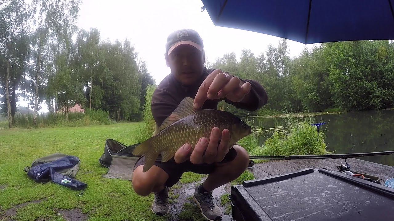 How To Catch Crucian Carp F1 YouTube how-to-catch-crucian-carp-f1-youtube