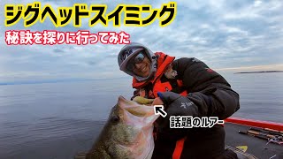ミドスト専用ロッド【ACES 66SLJ 