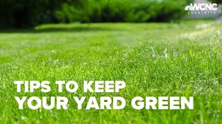 Keeping your lawn green in the heat