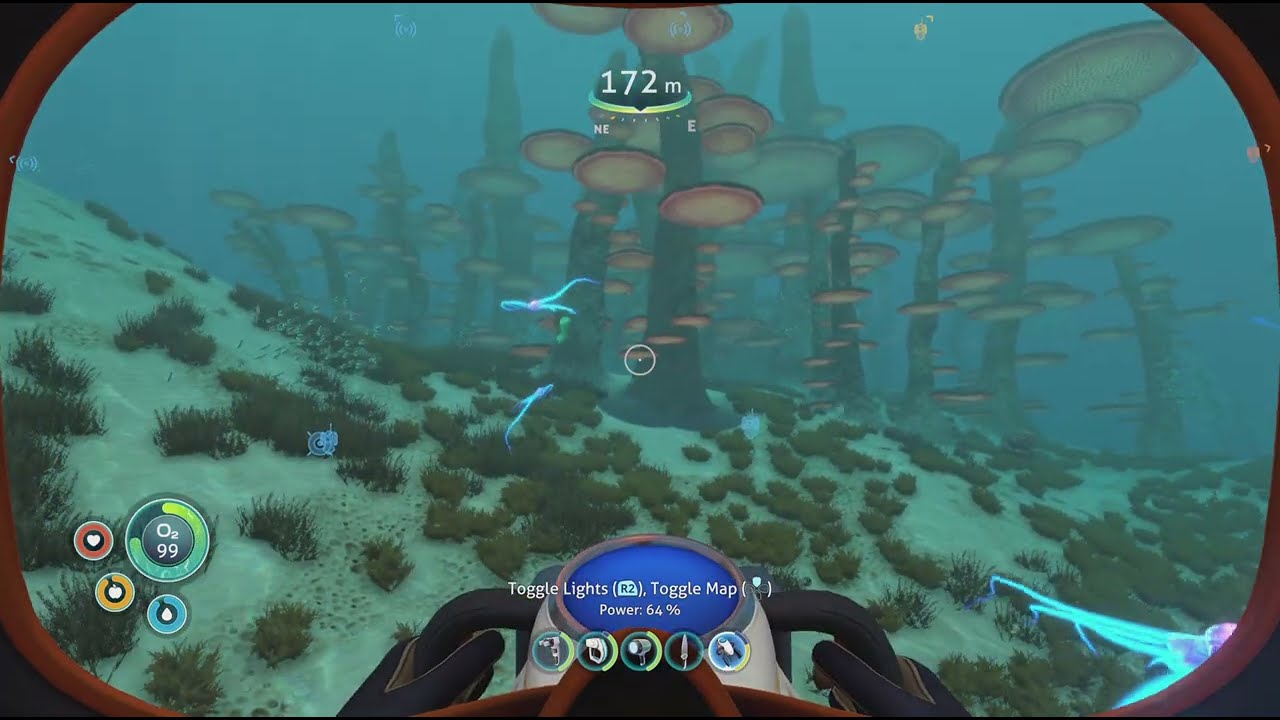 Releasing The Little Guy