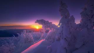 Boreal Wind - Hammer of Rage