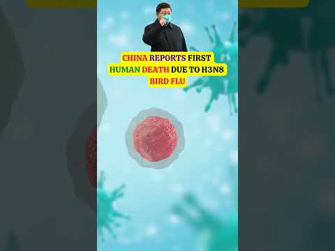 China reports first human death due to H3N8 bird flu