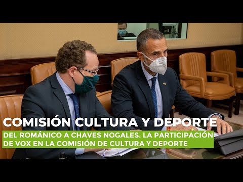 Del Románico a Chaves Nogales. La participación de VOX en la Comisión de Cultura y Deporte