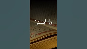 سورة الحجرات آية 12سعد الغامدي "يَا أَيُّهَا الَّذِينَ آمَنُوا اجْتَنِبُوا كَثِيرًا مِّنَ الظَّنِّ