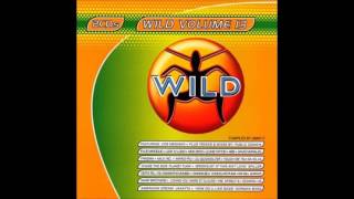 Wild Vol. 13 - Megamix by KCB