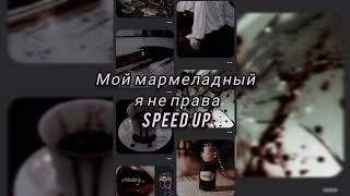 INSTASAMKA - мой мармеладный я не права SPEED UP