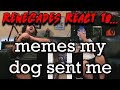 Renegades React to... @MemerMan - memes my dog sent me