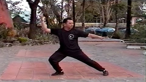 Bài Thái Cực Chưởng Do Võ Sư Trần Sen Vinh Biểu Diễn